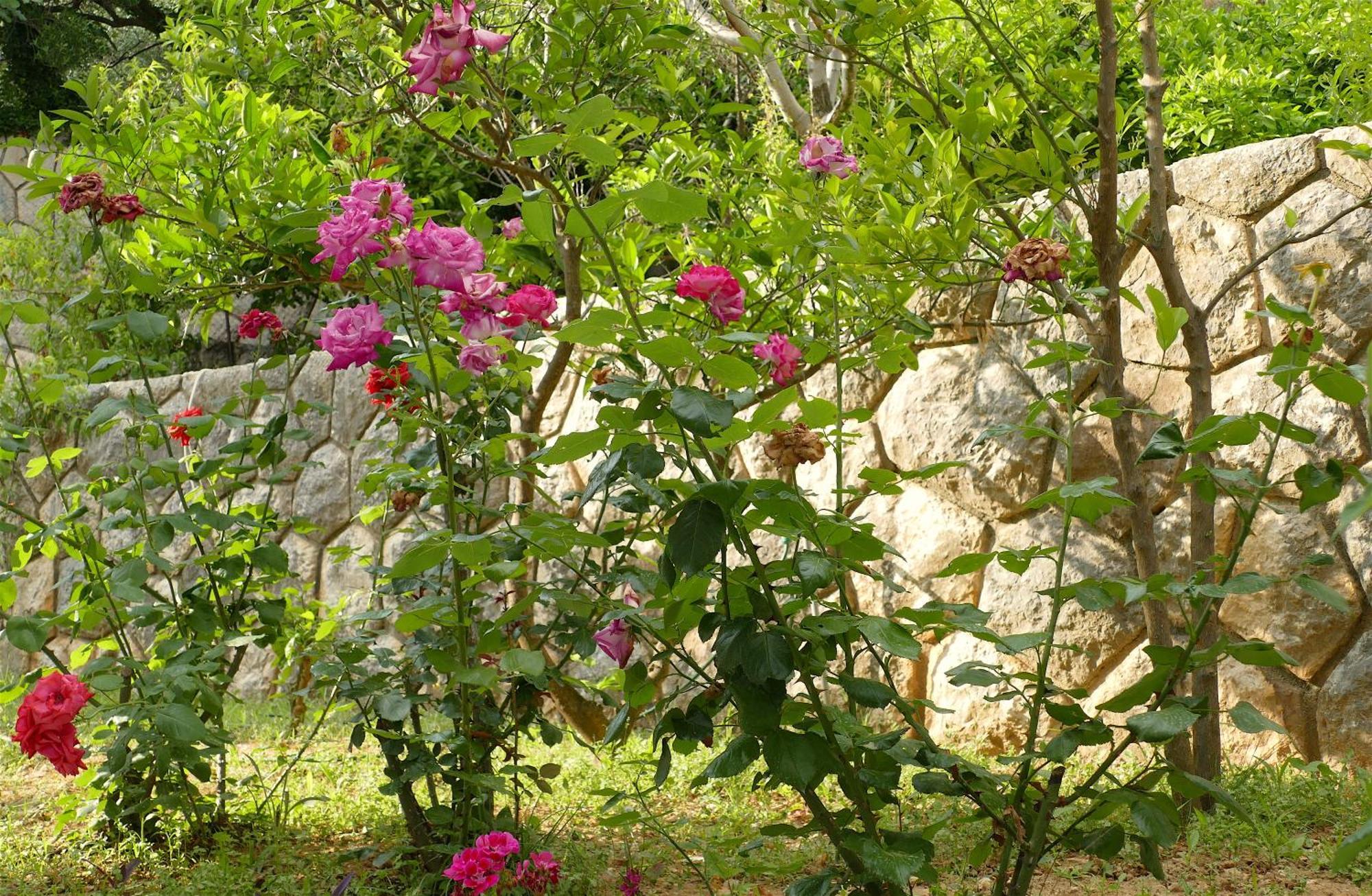 B&B Garni Toni Supetarska Draga Kamer foto